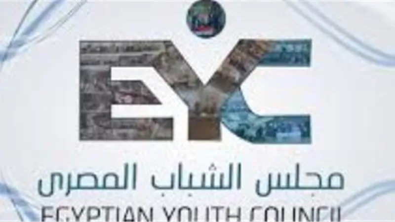مجلس الشباب يدعو منظمات المجتمع المدني عالميًا لرفض الاحتلال الإسرائيلي لغزه
