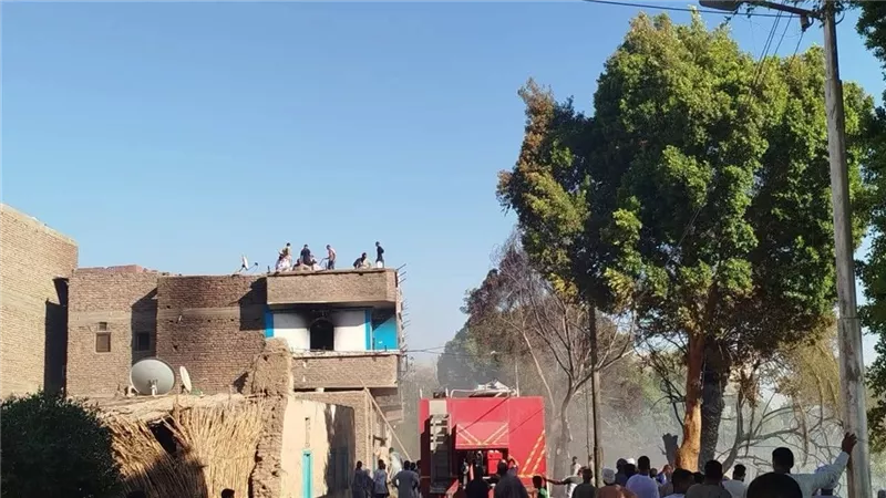 الإهمال يغتال أشجار النخيل والغابات في ظل ارتفاع درجات الحرارة بقنا