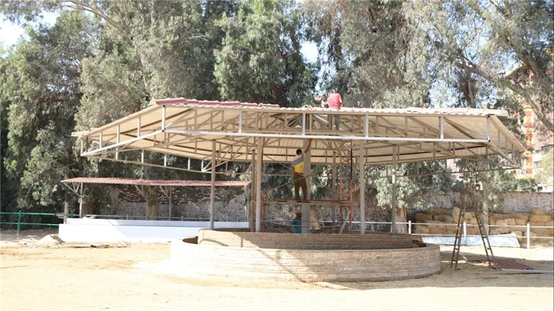 وزير الزراعة يتفقد أعمال التطوير بمحطة الزهراء للخيول العربية الأصيلة 