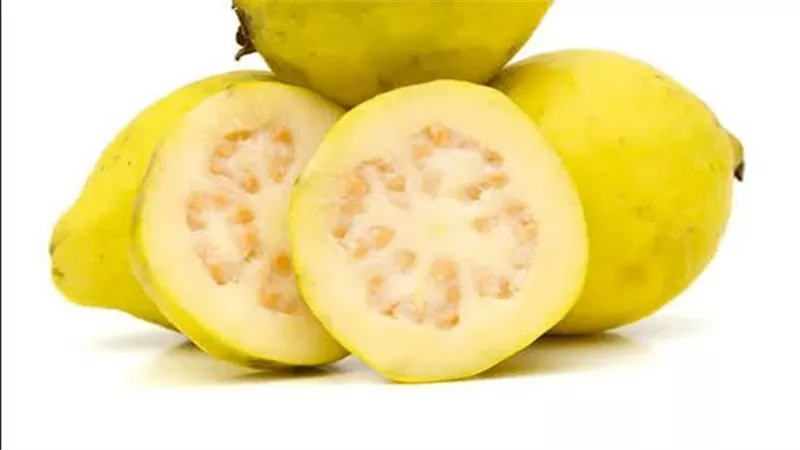 مع اقتراب موسمها..
