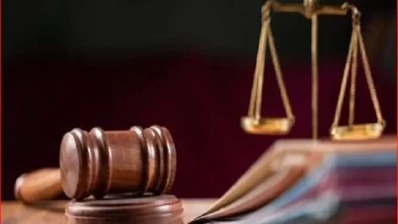 اليوم.. استكمال محاكمة 9 متهمين في قضية «خلية المطرية الإرهابية»