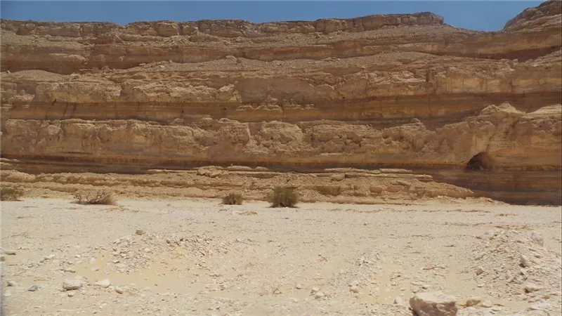 سقطن من حسابات الحكومة.. ضحايا زواج السُنة بقنا يقعن في ـزمة إثبات النسب