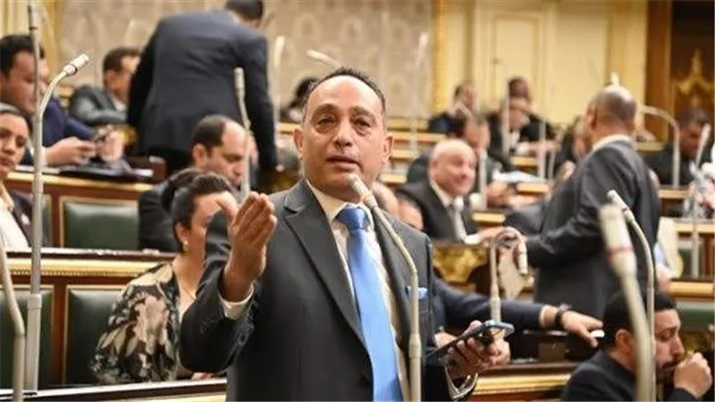برلماني يهاجم خطة تحويل المدارس التجريبية إلى يابانية: ولادنا مش فئران تجارب!