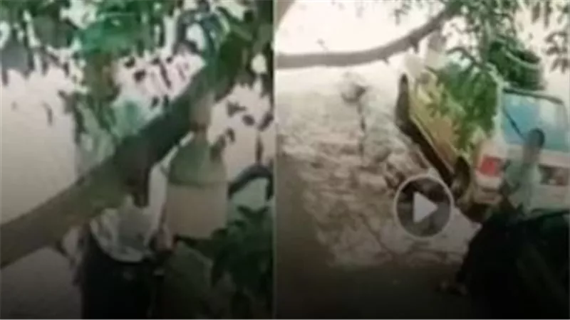 غضب في البساتين.. عامل يكسر مرايات سيارتين بسبب ركنة والأمن يضبط المتهم  