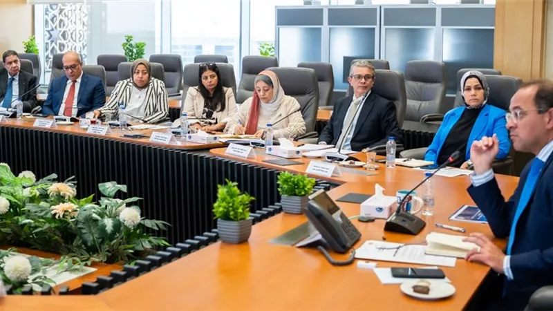 وزير المالية : الشراكة مع القطاع الخاص منصة لدعم التنمية القارية 