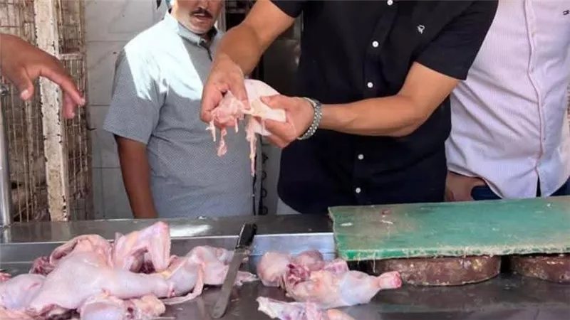ضبط 70 كيلو لحوم ودواجن غير صالحة للاستخدام الآدمي بالمنوفية