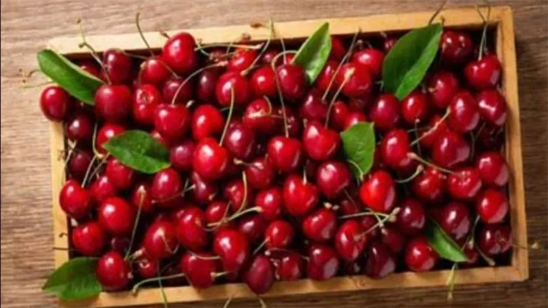الفاكهة الحمراء الغنية بالمضادات الطبيعية..فوائد الكريز لصحة القلب والجسم  
