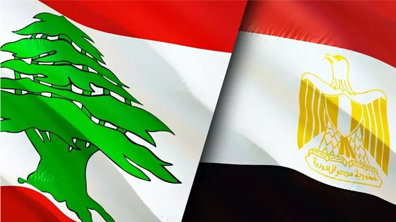حامد فارس: زيارة رئيس الوزراء اللبناني إلى مصر تحمل رسائل هامة|فيديو 