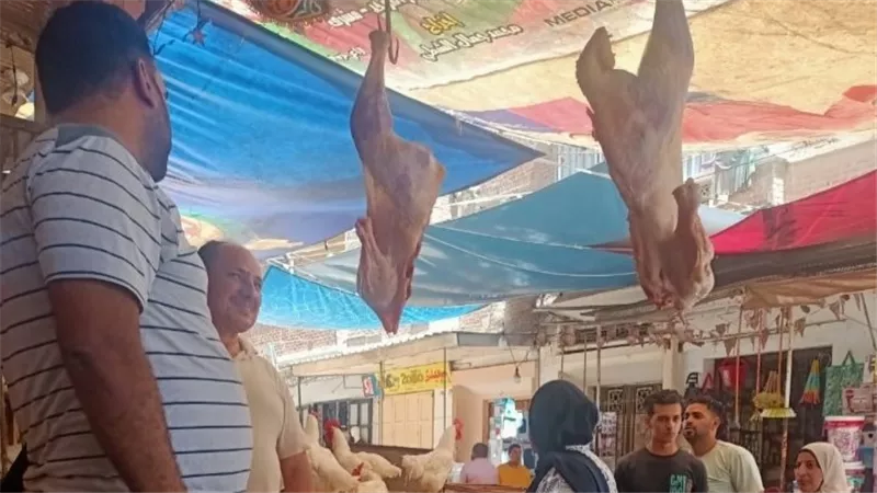 ضبط لحوم مجهولة المصدر وتحرير محاضر للمخالفين في حملة تموينية بكفر الشيخ