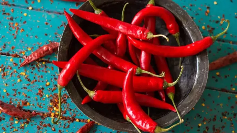 خطر الإصابة بسرطان المريء.. دراسة تحذر من الإفراط في تناول الفلفل الحار
