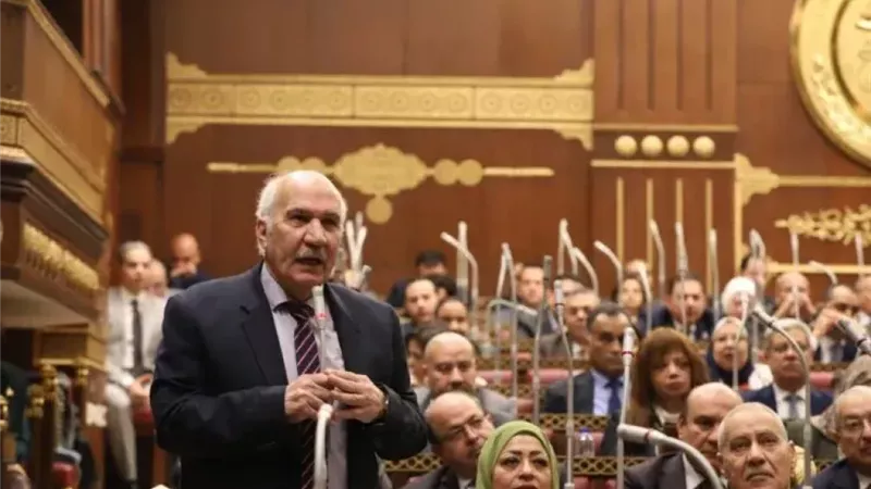 النائب السيد عبد العال: التنمية الاقتصادية حل مشاكل الرعاية الاجتماعية