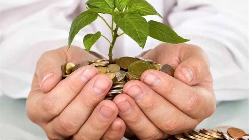 نائب رئيس جامعة الأزهر:الزكاة نظام اقتصادي واجتماعي يحقق التنمية المستدامة داخل المجتمع|فيديو