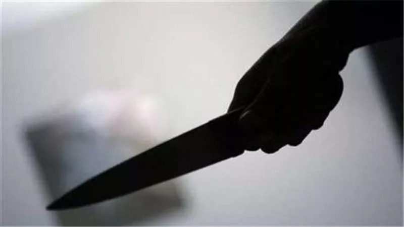 خلاف عائلي ينتهي بجريمة غادرة.. سوداني يقتل شقيقه طعنا بمنطقة الهرم