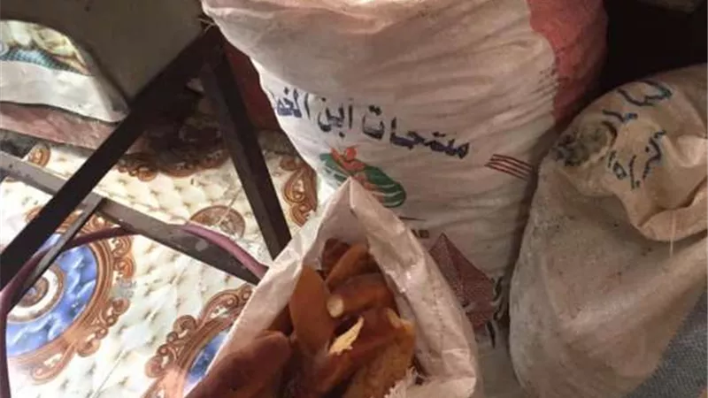 إغلاق ٢٠ منشأة غذائية غير مرخصة في حملة مكبرة بدمياط 