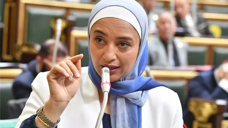 النائبة أميرة أبوشقة لـ«رئيس الحكومة» : 
