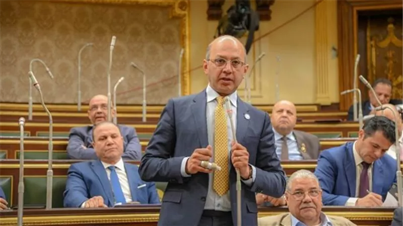 النائب هشام حسين يطالب الحكومة بتفعيل قانون تنظيم 