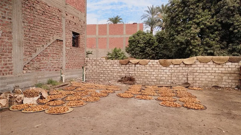 أيس كريم الغلابة.. مراحل صناعة الجلاب في قرى نجع حمادي بقنا (صور)