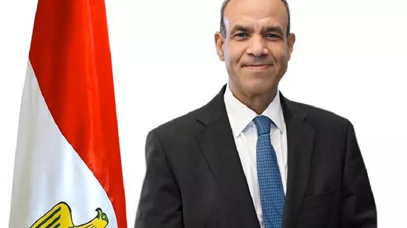 «وزير الخارجية» يدعو لاستعادة الهدوء في البحر الأحمر للحفاظ على حرية الملاحة (فيديو)