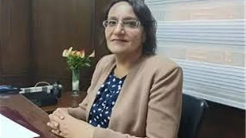  خبيرة اقتصادية.. الدولة تسعى للتوسع في العدادات مسبقة الدفع وربط الاقتصاد الغير رسمي| خاص