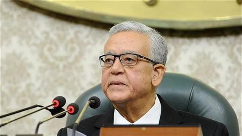مجلس النواب يعلن خلو مقعد النائبة رقية الهلالي: تاريخ مشرف من العمل البرلماني