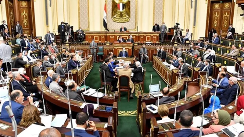 برلمانيون لـ«نيوز رووم»: نرفض ادعاءات إسرائيل.. والمصريون خلف قيادتهم السياسية في رفض التهجير