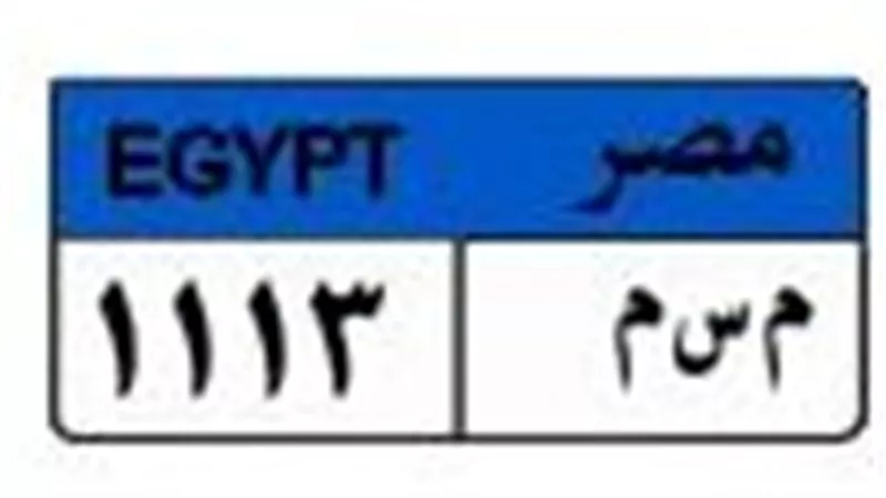 لأعلى سعر ..  (م س م - 1113) لوحة مميزة فى مزاد المرور 