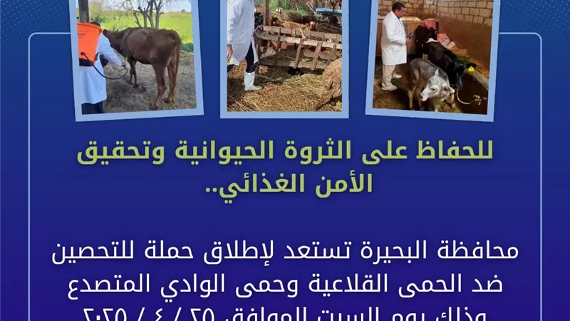 محافظة البحيرة تستعد لإطلاق حملة للتحصين ضد الحمى القلاعية والوادي المتصدع