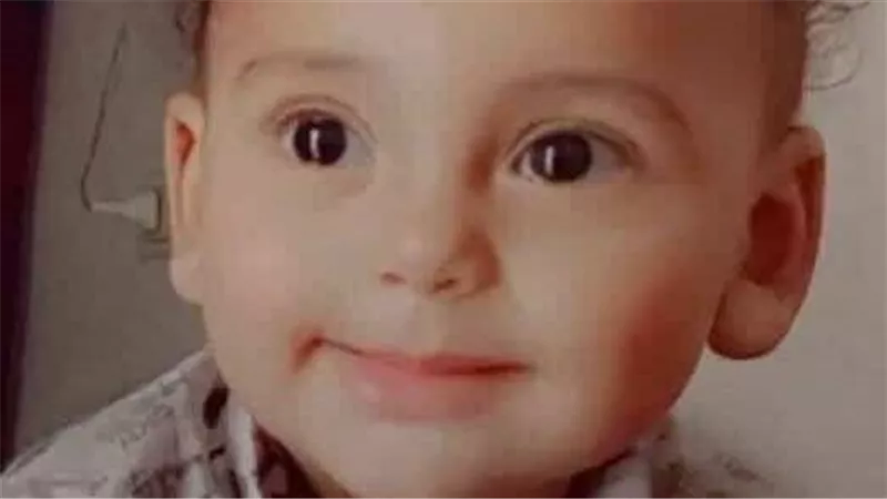 وفاة طفل رضيع بعد تعرضه لرفسة حمار الجيران بقرية اسطنها بالمنوفية