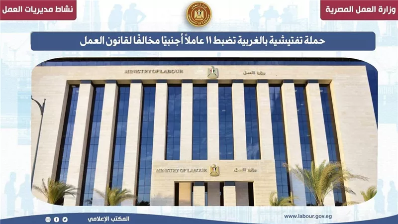 حملة تفتيشية بالغربية تضبط 11 عاملًا أجنبيًا مخالفًا لقانون العمل