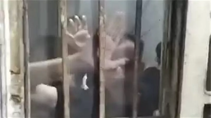 الأمن يفحص فيديو استغاثة فتاة بعد تعرض أسرتها لهجوم بالأسلحة في الغربية