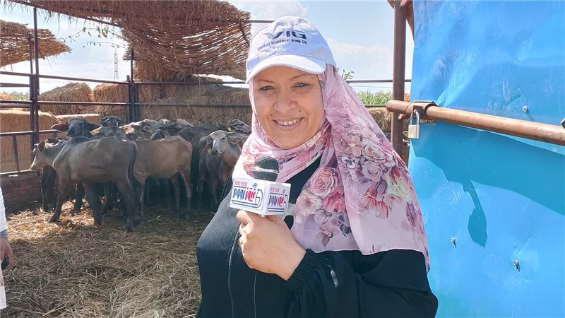 حملة طارئة للتحصين ضد عترة جديدة من الحمى القلاعية بدمياط