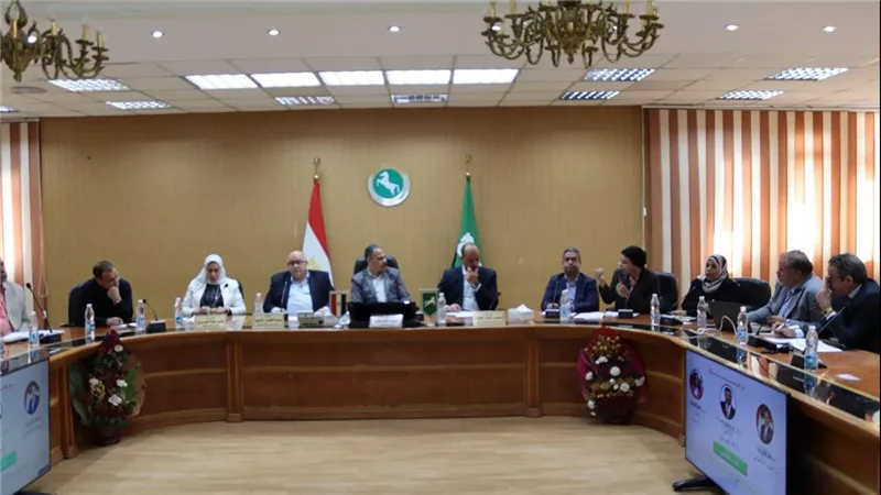 من الحرق للإبداع.. تحويل قش الأرز إلى ثروة اقتصادية تحمي البيئة بالشرقية