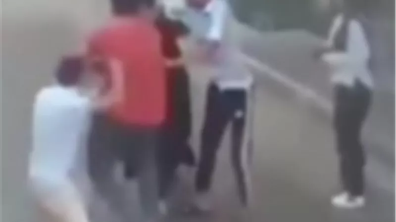 ضربوها بعد معاكستها.. الأمن يضبط عاملين اعتديا على سيدة بالدقهلية