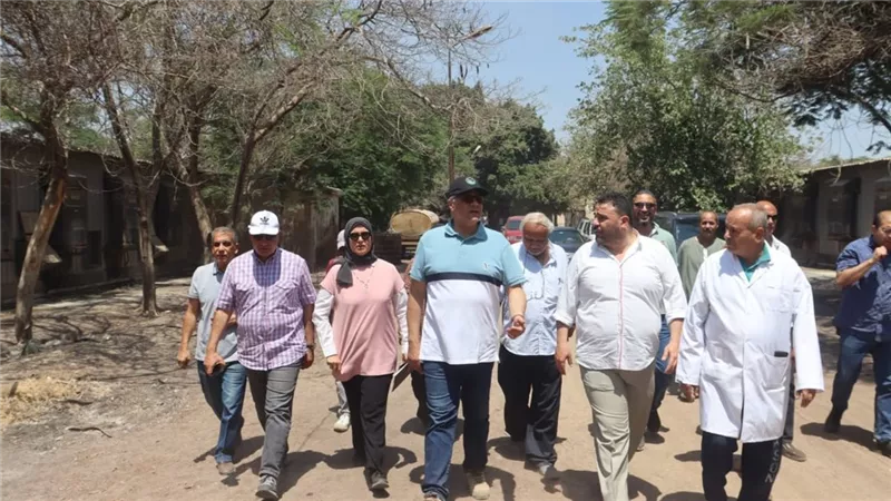 القليوبية تنفض غبار التوقف.. مشروع «30 مليون بيضة» يعود للحياة في الخانكة