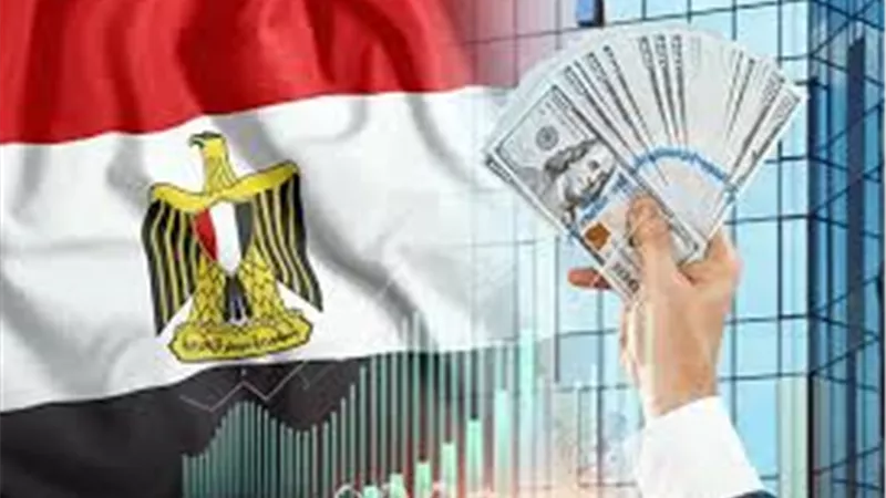 مصرفى: مصر فاتحة شهية لكل من يبحث عن فرص واعدة في بيئة استثمارية متنوعة