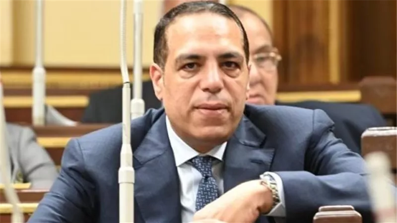 نائب: توجيهات الرئيس لضبط الأسواق وارتفاع الاحتياطي يعزز استقرار مصر المالي