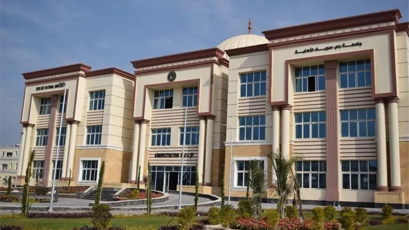 متحدث التعليم العالي: بحلول 2030 ستصل عدد الجامعات التكنولوجية إلى 28 جامعة