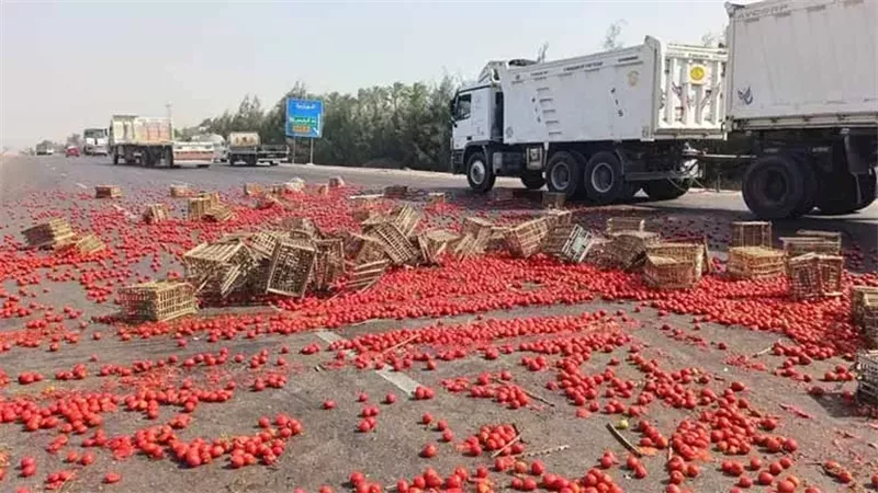 موت وخراب ديار.. إصابة شخصين إثر انقلاب سيارة محملة بالطماطم في البحيرة