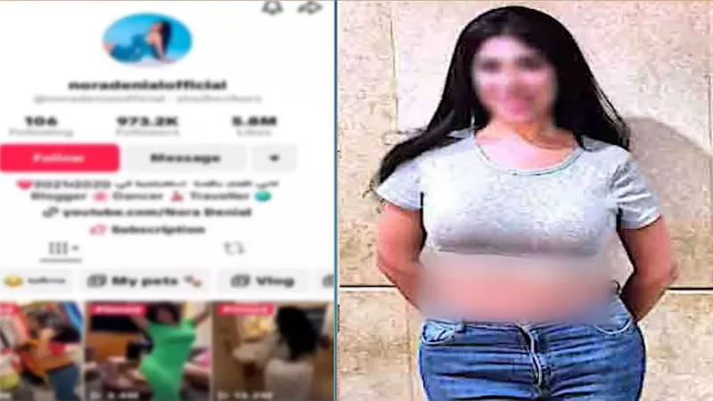 أجنبية ونشرت فيديوهات خادشة.. الداخلية تكشف تفاصيل القبض على الراقصة 