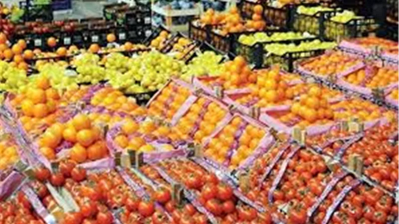 خطة مشتركة بين التمثيل التجاري والمجلس التصديري للحاصلات الزراعية 