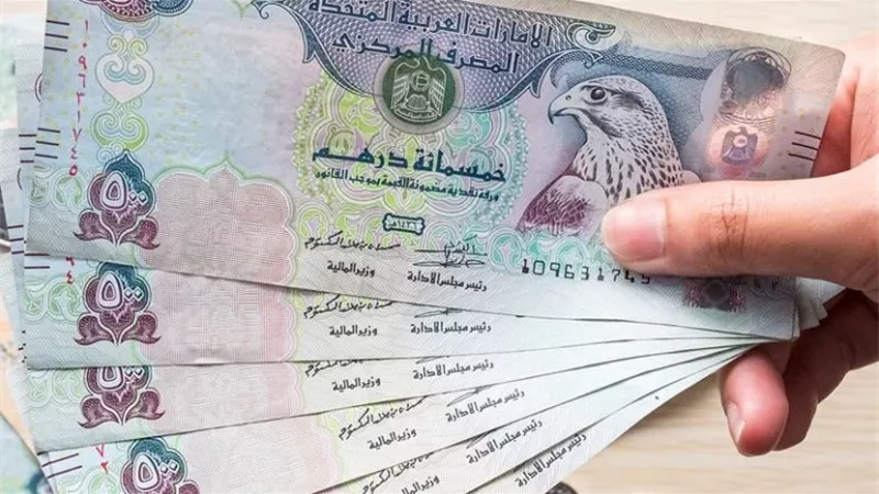 سعر الدرهم الإماراتي أمام الجنيه المصري اليوم الجمعة 17 أكتوبر 2025