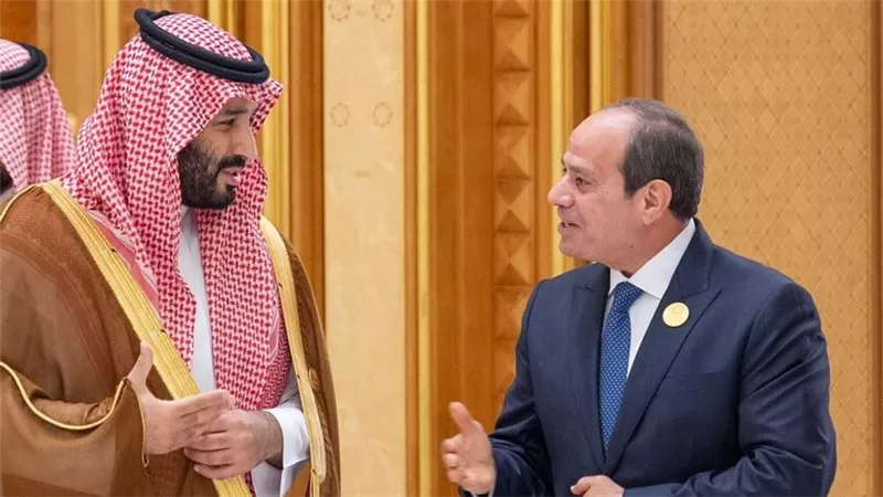 جميل عفيفي: مصر والسعودية على قلب رجل واحد في دعم الدولة الفلسطينية|فيديو 