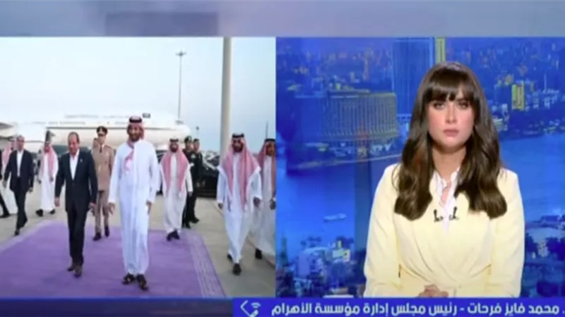 محمد فايز فرحات: قمة السيسي وبن سلمان تؤكد متانة العلاقات المصرية السعودية