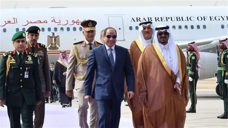 أستاذ علاقات دولية: زيارة السيسي تهدف إلى تعزيز الاستثمار والتنمية المشتركة