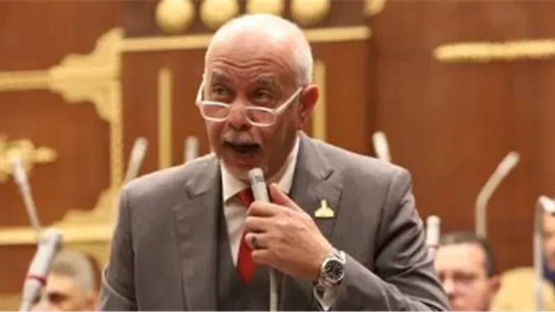 النائب حازم الجندي: القمة المصرية الإماراتية ركيزة للأمن القومي العربي