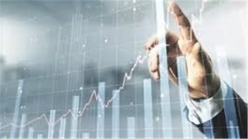 نمو غير مسبوق في نشاط التخصيم.. 90% زيادة بالأرصدة المدينة و730 شركة محلية