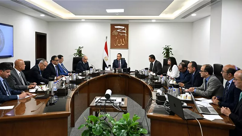 مجلس الوزراء: الرابط الإلكتروني المنسوب لوزارة التضامن لصرف منح مالية مزيف 
