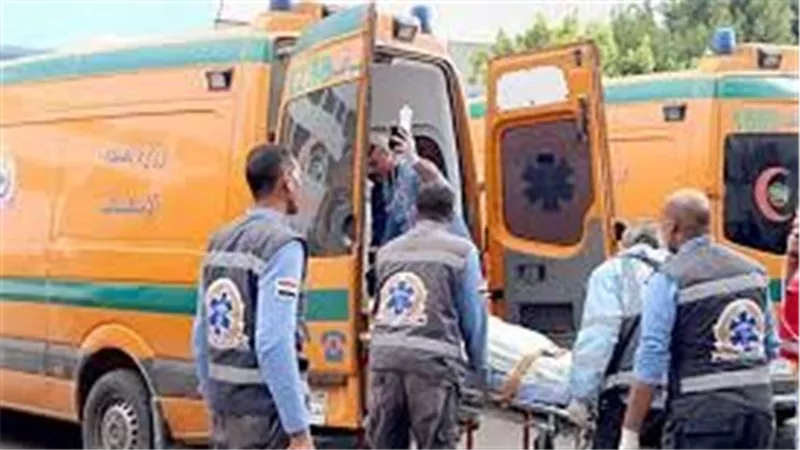 مصرع 5 أشخاص وإصابة 11 آخرين في انقلاب ميكروباص على الطريق الصحراوي بالمنيا