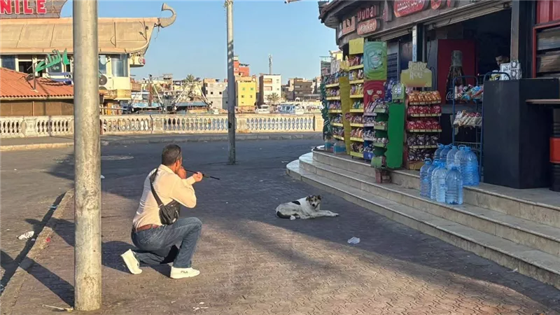 حملة مكبرة لتطعيم الكلاب الضالة ضد مرض السعار برأس البر 
