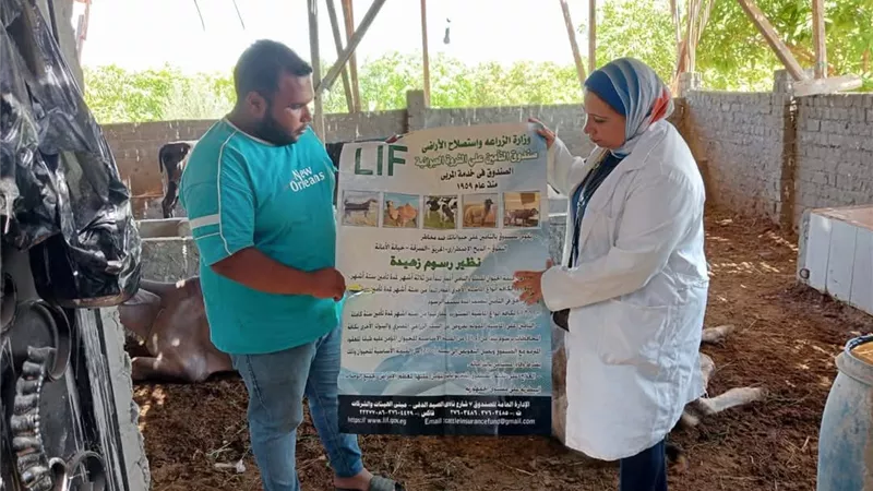 استمرار أعمال الحملة القومية للتحصين ضد مرض الحمى القلاعية بالسويس